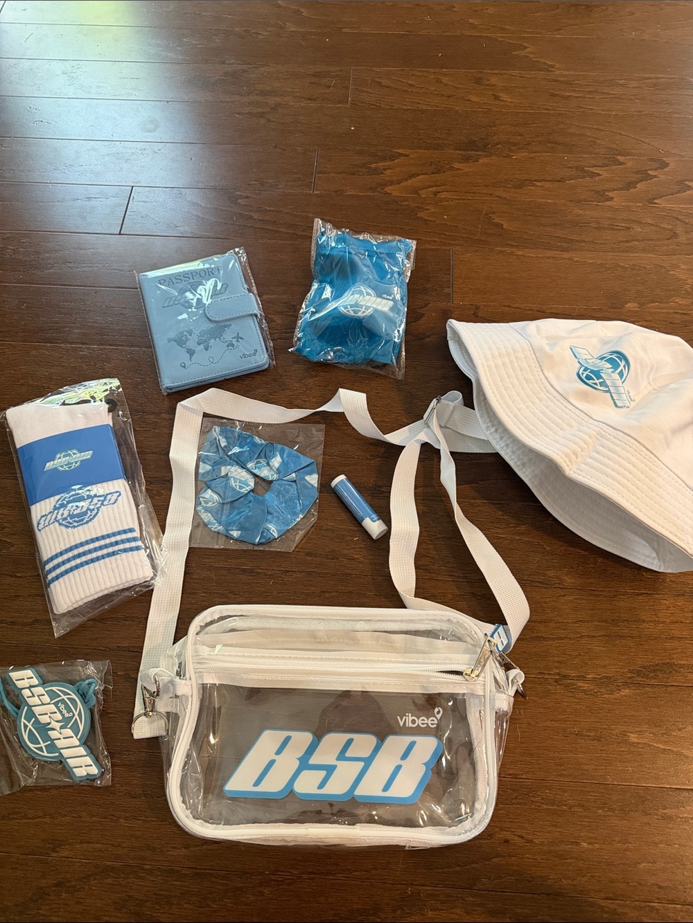 Backstreet Boys Sphere Vibee VIP Swag bag- New, never used